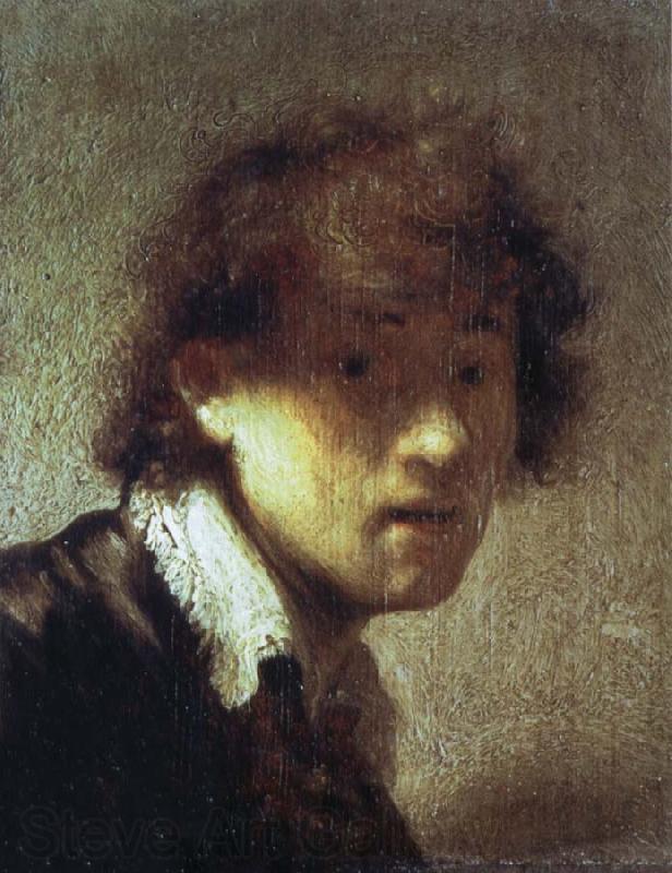 REMBRANDT Harmenszoon van Rijn Self-Portrait as a Young Man Germany oil painting art